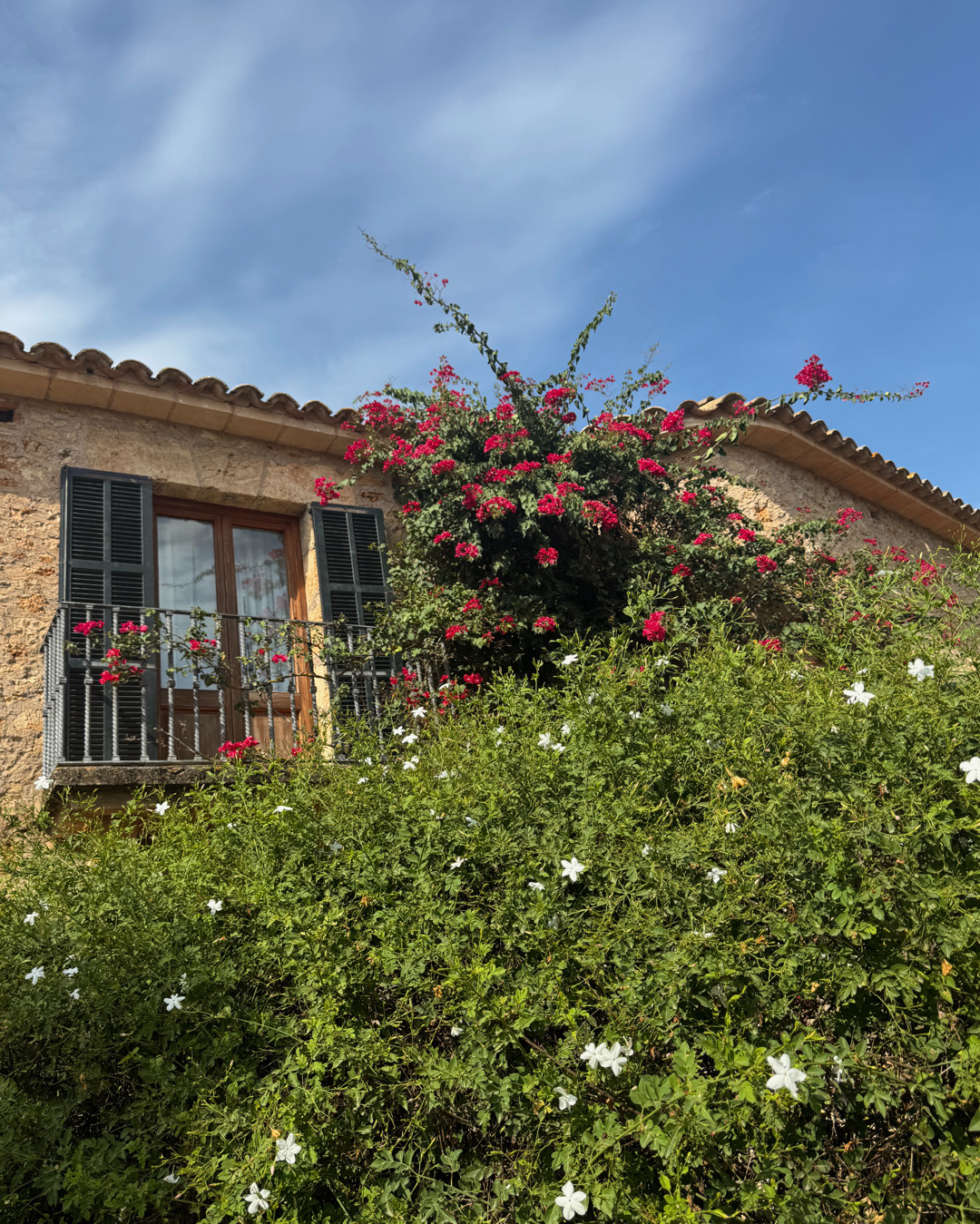 day pass en mallorca, day pass de lujo en mallorca, hoteles lujo en mallorca, experiencias de lujo en mallorca, daypass mallorca, day pass palma, dónde comprar day pass en mallorca, mav magazine, aurora vega foodie