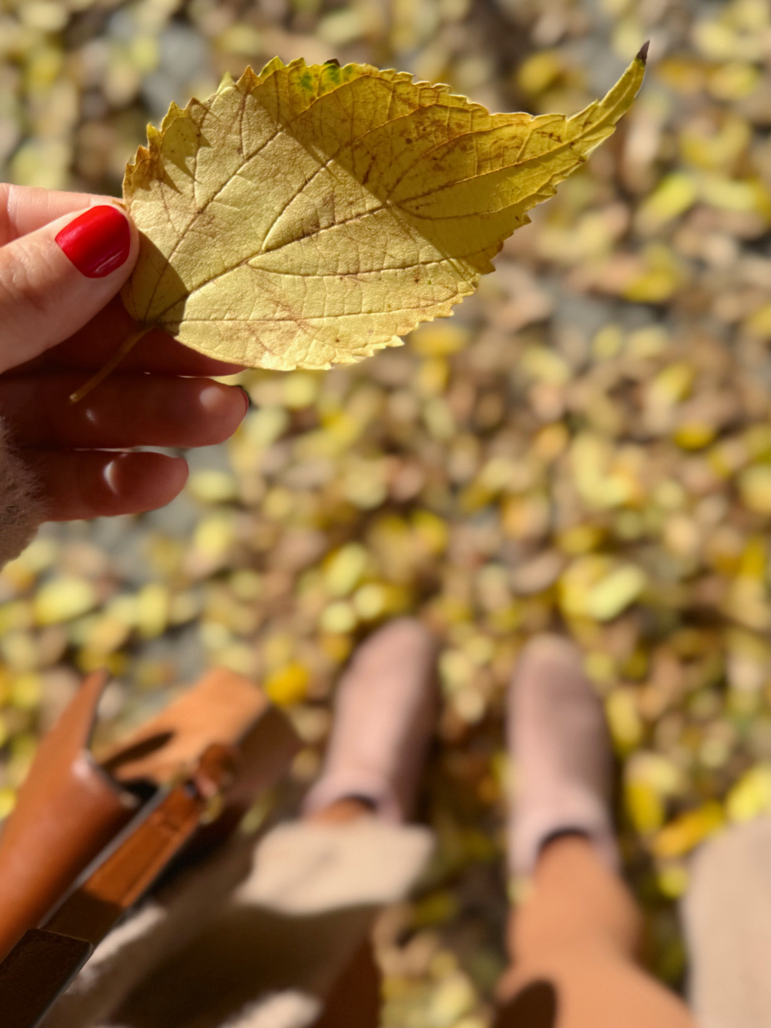 fashion blogger mallorca, personal shopper mallorca, mav magazine, igersmallorcafashion, aurora vega personal shopper, inspiración looks deportivos mocha y colores beige fashion blogger mallorca, personal shopper mallorca, mav magazine, igersmallorcafashion, aurora vega personal shopper, inspiración looks deportivos mocha y colores beige