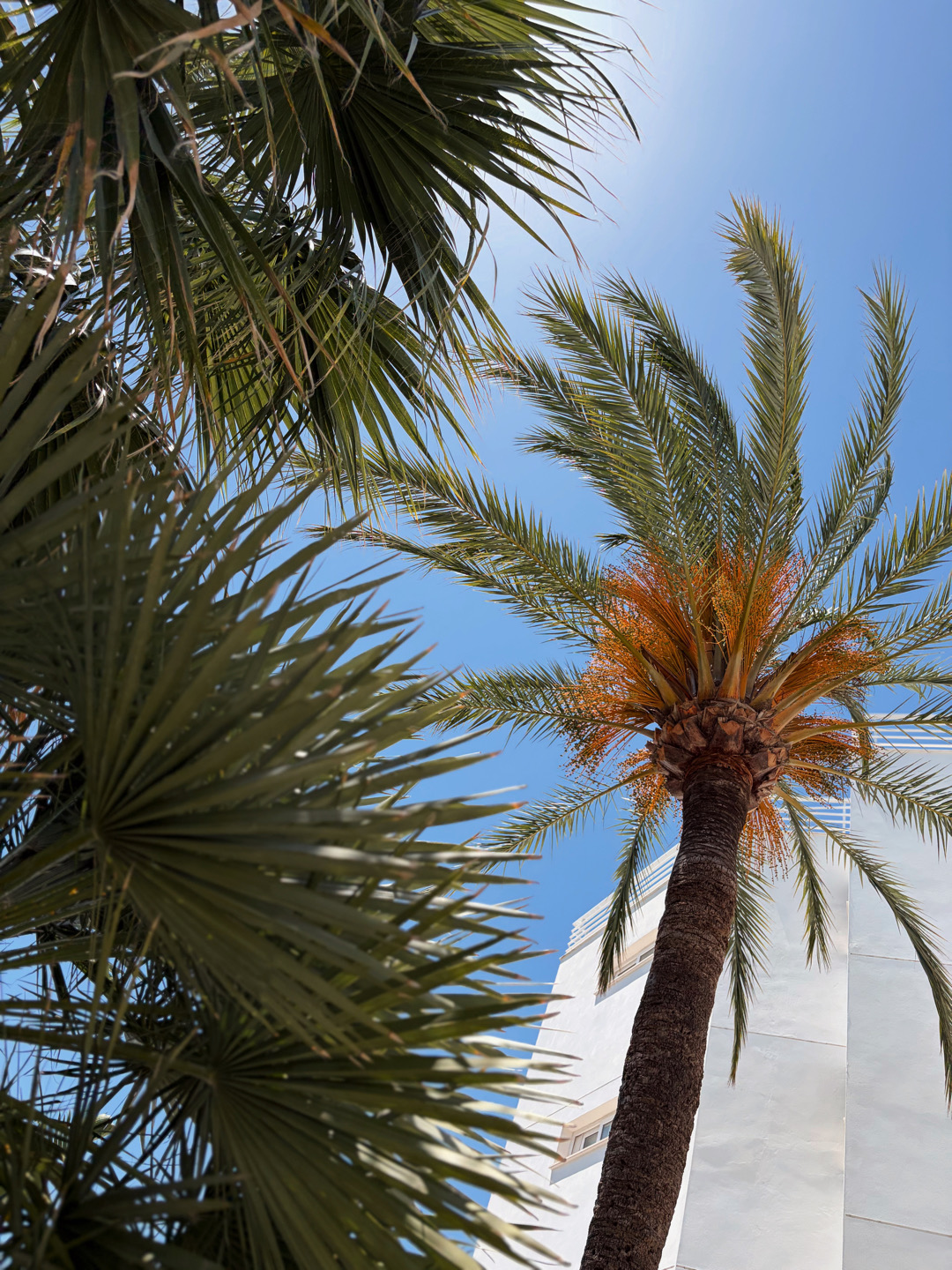 hsm lago park, day pass hsm lago park, day pass barato en mallorca, dónde comprar day pass en mallorca, comprar day pass mallorca hoteltreats